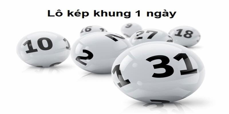 Tìm hiểu về lô kép khung cho người mới bắt đầu