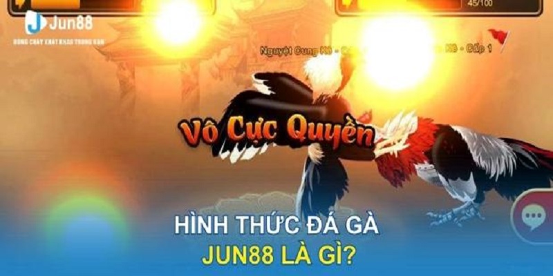 Thông tin không thể bỏ qua về sảnh đá gà mạng Jun88